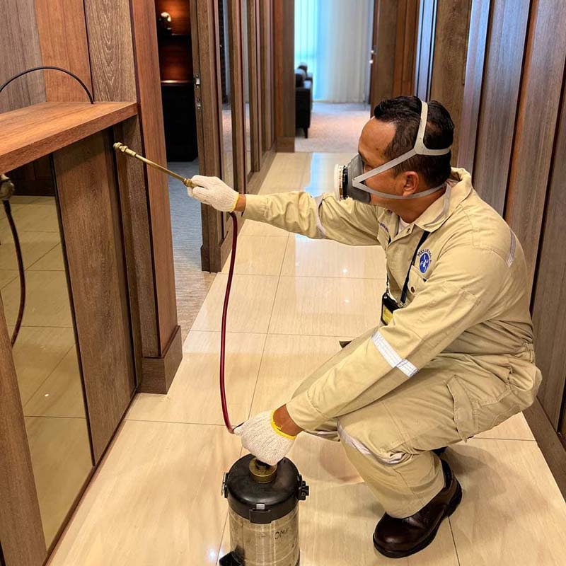 pest-control-3